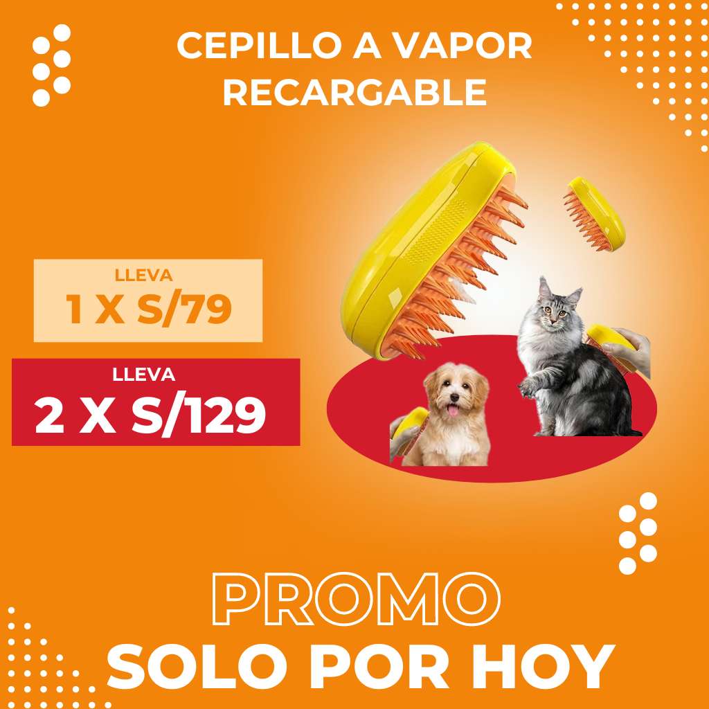 CEPILLO A VAPOR RECARGABLE | ENVÍO GRATIS